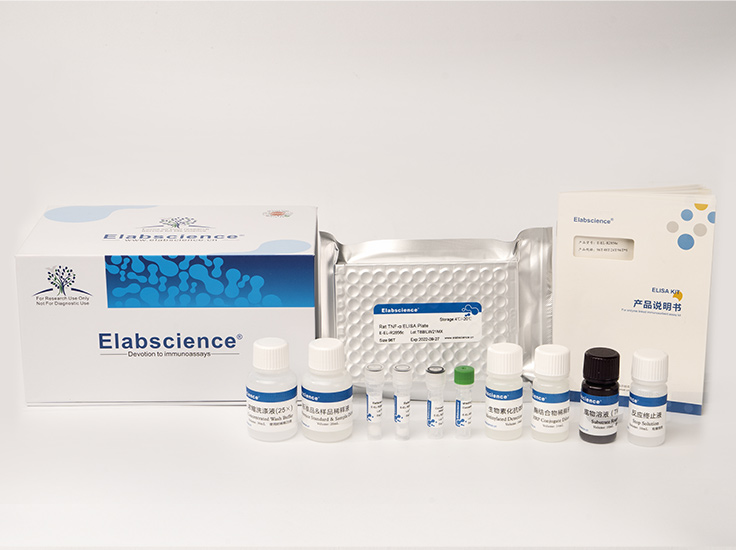 人白介素31(IL-31)酶联免疫吸附测定试剂盒