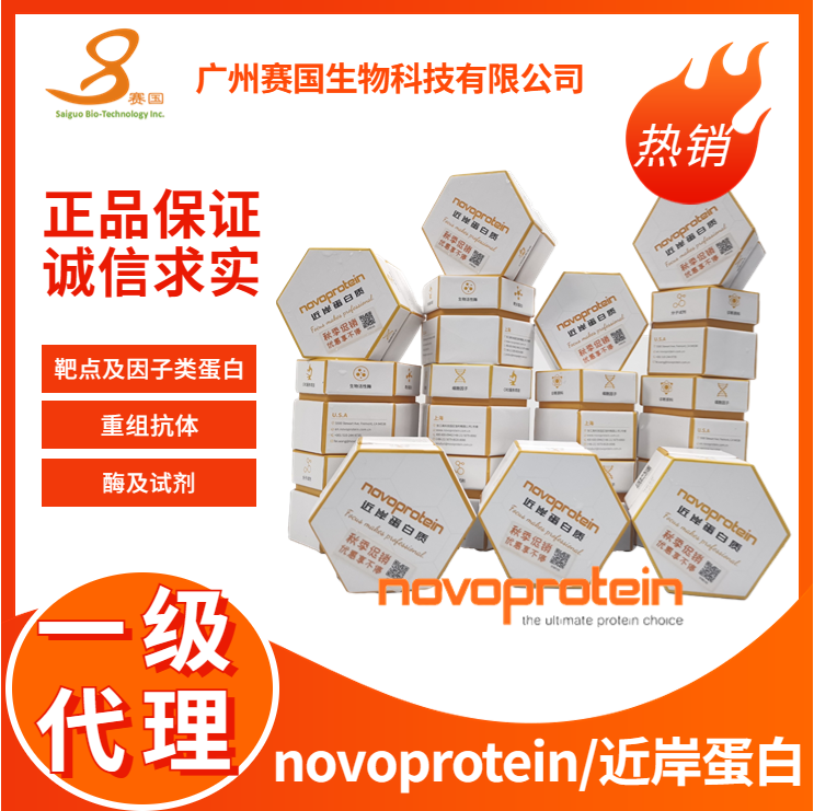 NovoRec® plus One step PCR Cloning Kit-100次